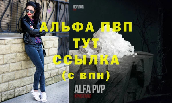 a pvp Абаза