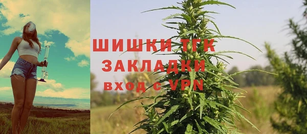 a pvp Абаза
