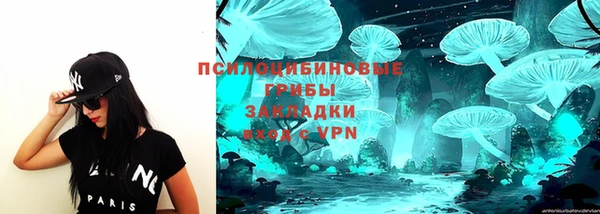гашик Нягань